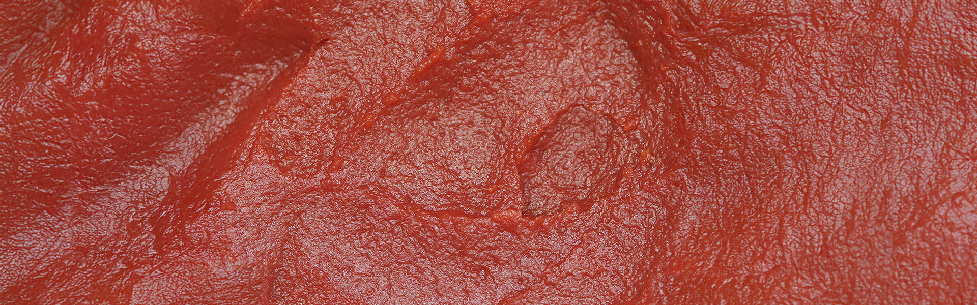TOMATO PASTA HB 28_30 - large
